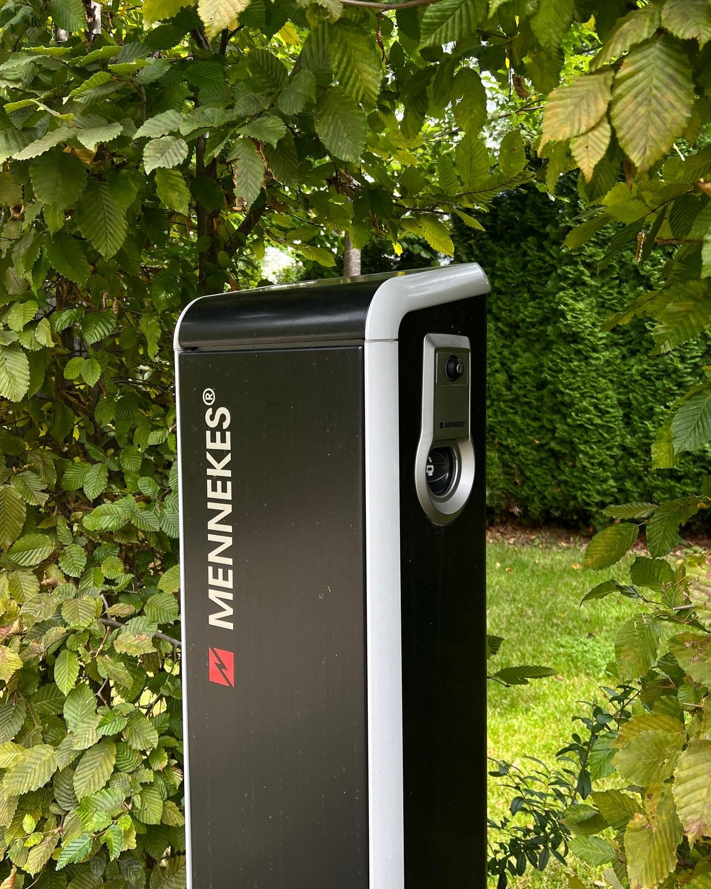 Galerie Bild Galerie Bild