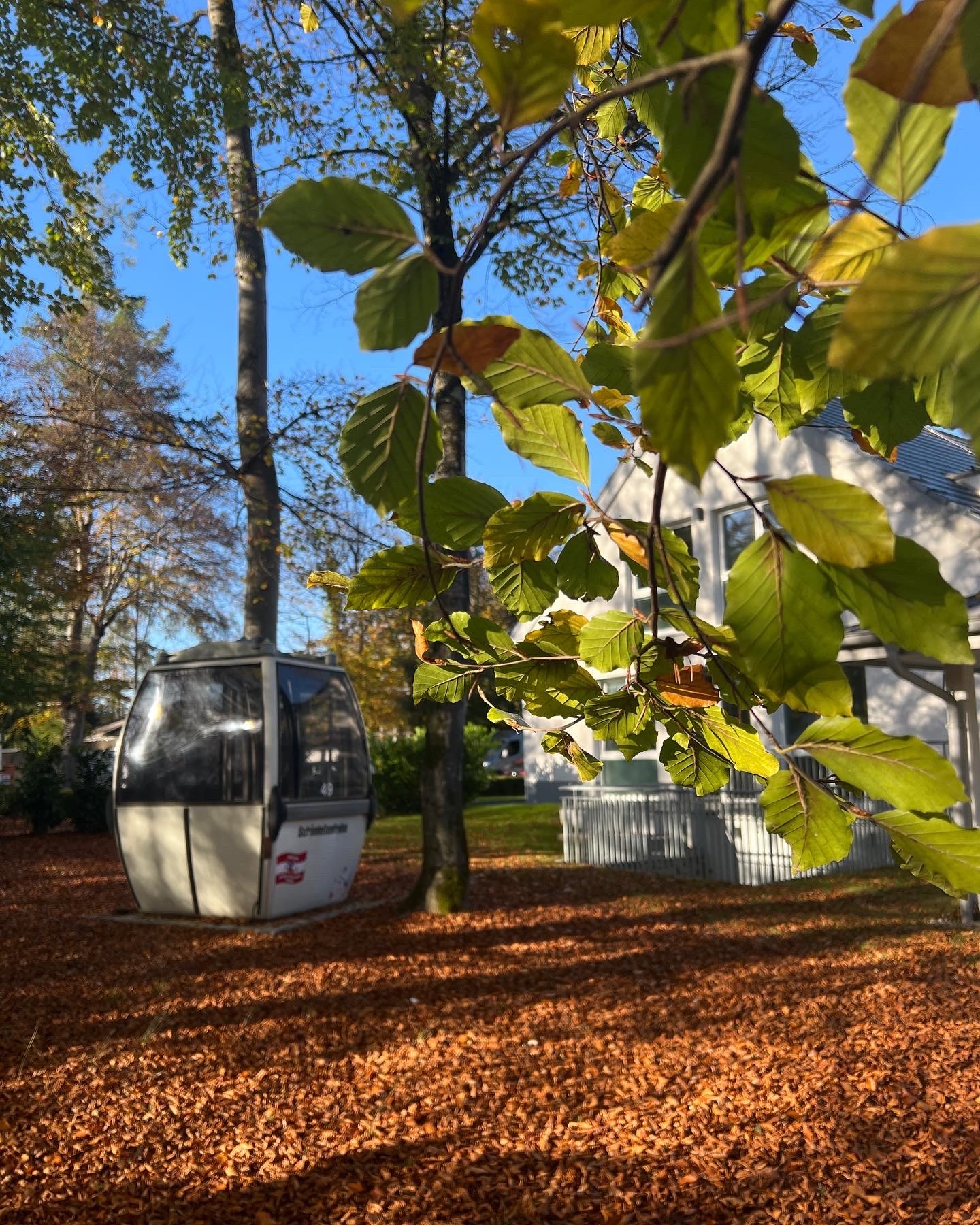 Galerie Bild Galerie Bild